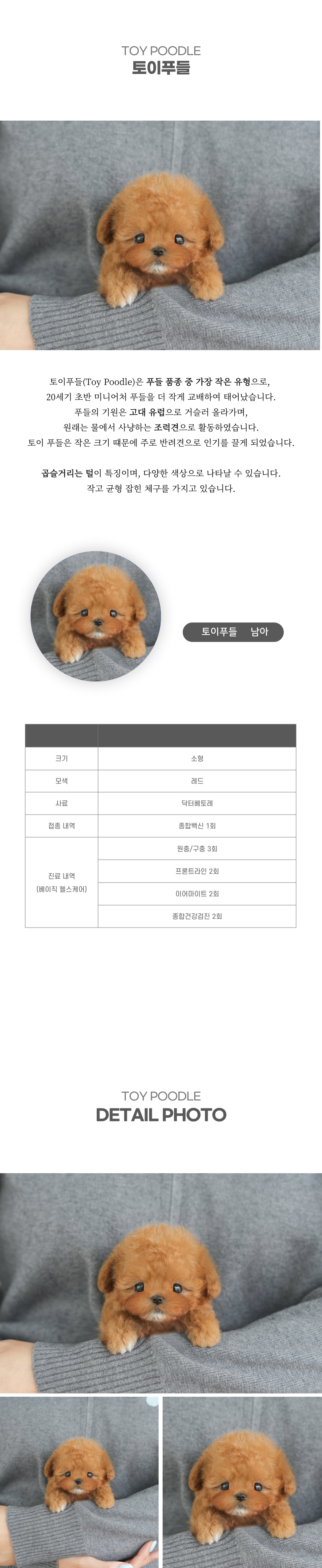 토이푸들_상세이미지_2